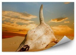 Pustynia czaszka zachód słońca afryka Fototapeta Pustynia czaszka