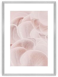 Plakat Pastel Pink I, 40 x 50 cm,