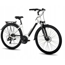 Rower elektryczny Proeco Wave An 1.0 M17 28