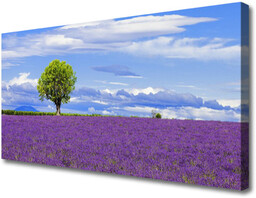 Obraz Canvas Pole Lawendy Drzewo Natura