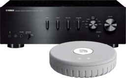 Yamaha A-S301 + LINK1