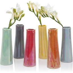 Chive Mały wazon na kwiaty ''Galaxy'' uroczy, piękny