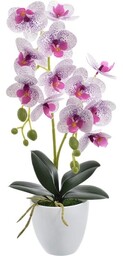 KOMPOZYCJA STORCZYK X2 W DONICZCE 45 CM