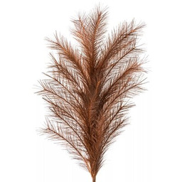 EUROFIRANY Sztuczna roślina Flore 381165 Trawa pampasowa Ciemnobrązowy