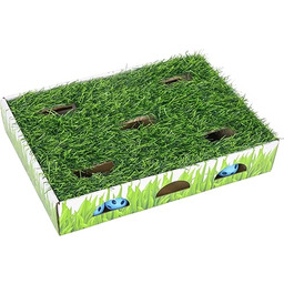 Trawa łata polowanie i zabawa pudełko kot piłka