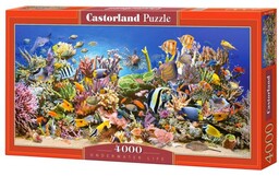 Castorland, puzzle, Underwater Life, 4000 el.