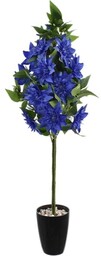 KLEMATIS W DONICY KOMPOZYCJA KWIATOWA 90 CM