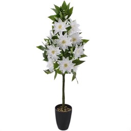 KLEMATIS W DONICY KOMPOZYCJA KWIATOWA 90 CM