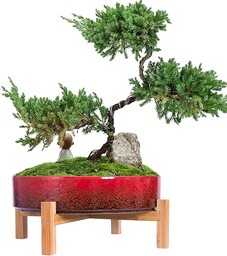 ARTKETTY Doniczki do wewnątrz, 29 cm, ceramiczna doniczka