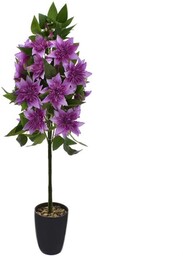 KLEMATIS W DONICY KOMPOZYCJA KWIATOWA 90 CM