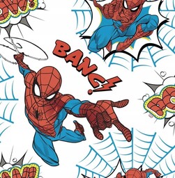 Tapeta dla dzieci chłopca Spiderman Marvel 108553