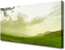 Obraz Canvas Łąka Natura Zielony Widok
