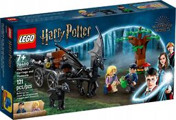 LEGO Harry Potter 76400 Testrale i Kareta