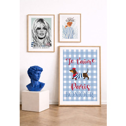 Pakamera Plakaty pakiet 3 formaty