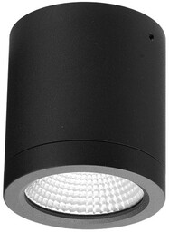 Azzardo CONYON IP54 10W CCT SWITCH