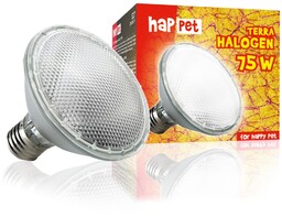 Żarówka Terra Halogen Happet 75W