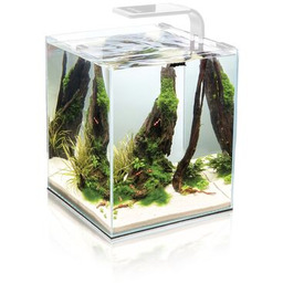 Zestaw akwariowy Shrimp Set Smart 2 20 biały