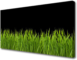 Obraz Canvas Zielona Trawa Natura