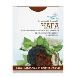 Czarna Huba Brzozowa (Inonotus obliquus Pil.), 50 g