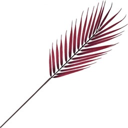 LIŚĆ PALMY ŚREDNI 60 CM