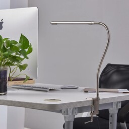 Lindby Lampa z klipsem LED Lionard, 53 cm,