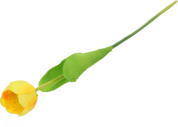 tulipan pojedynczy 53 cm żółty