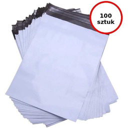 BSTech Foliopak koperta foliowa mocna 50mic 500x600 100