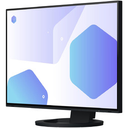 EIZO EV2495-BK - monitor LCD 24" z daisy