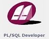 PL/SQL Developer 3 Year Service Contract Single User