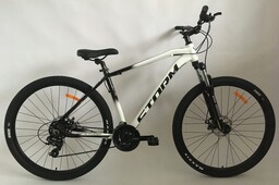 Rower Storm Shark 29 1.0 Man biały/czarny 19