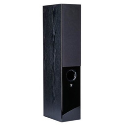 WILSON Kolumna głośnikowa Raptor 5 Czarny (1 szt.)