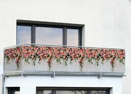 Maximex Osłona na balkon róże, 5 m x