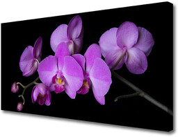 Obraz Canvas Storczyk Orchidea Kwiaty