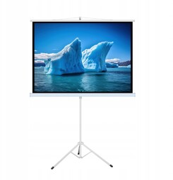 EKRAN RĘCZNY NA STATYWIE 118'' 213x213cm TA-84 1:1