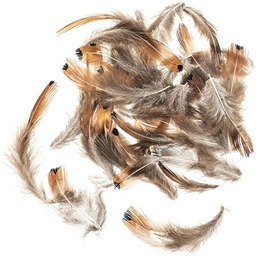 GLOREX 6 3822 152 - Pióra bażanta, ok.