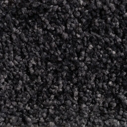 Wykładzina dywanowa Euphoria 810 charcoal (domowa) 4m