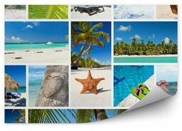 kolaż palmy plaża Karaiby Fototapeta na ścianę kolaż