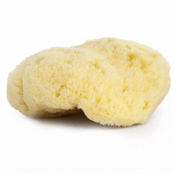 Organiczna gąbka z Morza Śródziemnego 9-10cm Najel -