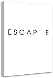 Obraz na płótnie, Escape 80x120