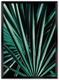 Plakat Dark Palm Tree, 50 x 70 cm,