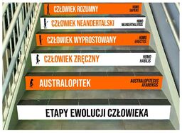 Naklejki na schody: Etapy Ewolucji Człowieka