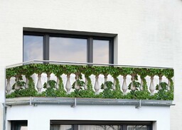 Maximex Osłona na balkon Ivy Fence, 5 m