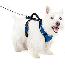 PetSafe Uprząż EasySport regulowane, wyściełane paski z uchwytem