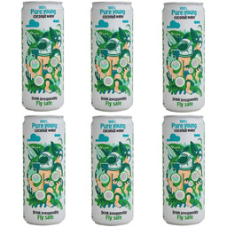6x Woda kokosowa COCONAUT z młodego kokosa 320