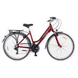 Rower STORM MARATHON 1.0 LADY bordo 17