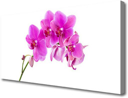 Obraz Canvas Storczyk Kwiat Orchidea