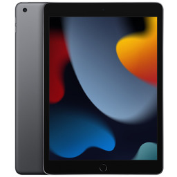 Apple 10.2-inch iPad Wi-Fi 64GB - Space Grey