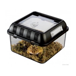 Exo-Terra Breeding Box Small - plastikowe terrarium hodowlane