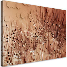 Obraz na płótnie, Dmuchawce w kroplach rosy 90x60