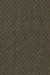 Tapeta Arte Wildwalk Ferox A28061